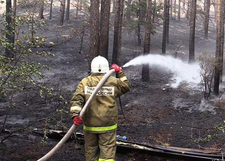 Генеральная прокуратура организовала проверки в сфере обеспечения пожарной безопасности в лесах 